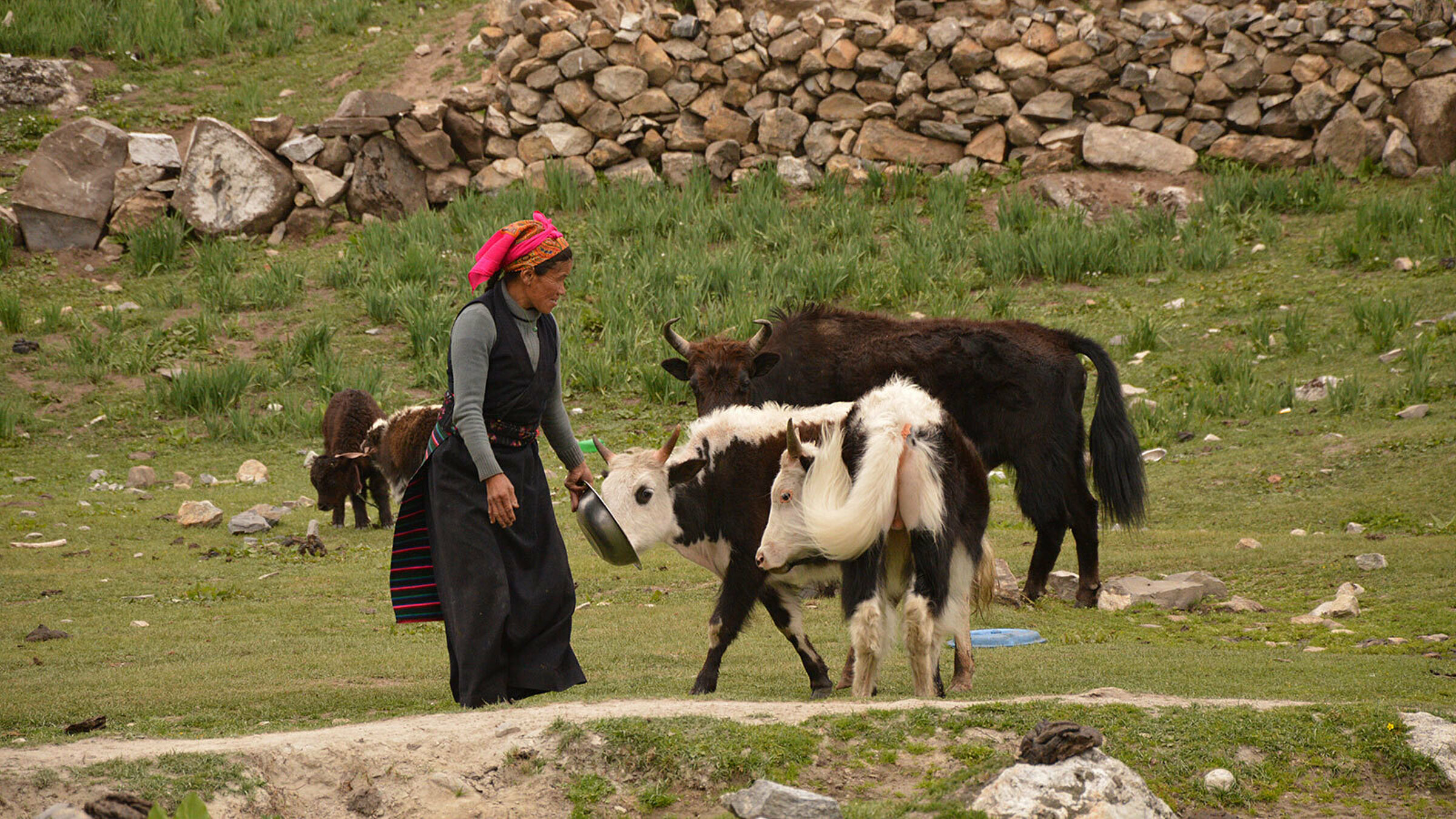 Langtang gosaikunda dsc 0582