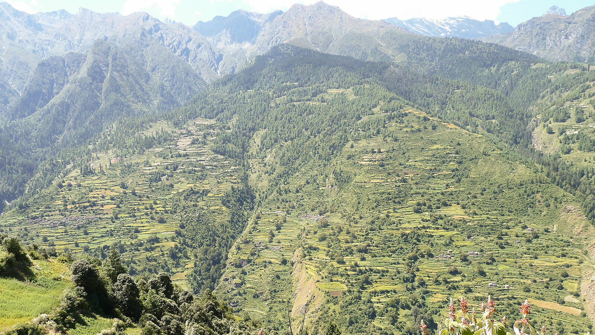 Limi valley simikot valley